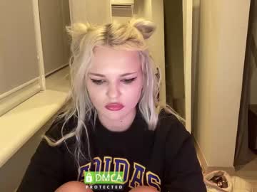 ice kitten