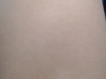 kitten punches0