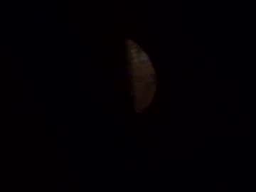 uhcarlise228